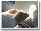 Labor für DNA-ANALYTIK Freiburg - Service rund um die DNA: Vaterschaftstest, Artenbestimmung, barcoding, Klonierung, Sequenzierung, PCR-Analyse
