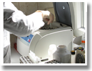 Labor für DNA-ANALYTIK Freiburg - Service rund um die DNA: Vaterschaftstest, Artenbestimmung, barcoding, Klonierung, Sequenzierung, PCR-Analyse